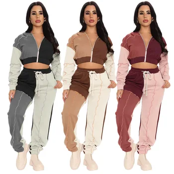 2021 Kış İki parçalı Set Kadın Spor İki parçalı Takım Elbise Fermuar Kırpılmış Hoodie Dikiş Isıtma Sıcak Kumaş