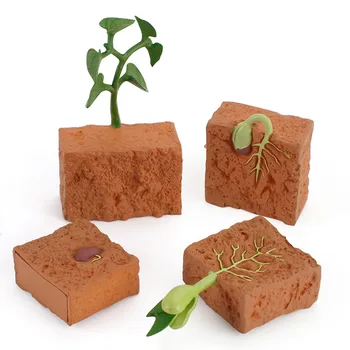 Montessori Bilişsel Oyuncak Simülasyon Yaşam Döngüsü Yeşil Fasulye Bitki Büyüme Döngüsü Modeli Bilim Eğitici Oyuncaklar Çocuklar İçin