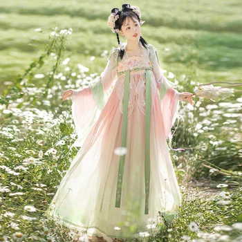 Kadın Peri Antik Kimono Hanfu Elbise Tang Nakış Çin Tarzı Geleneksel Cosplay Han Kostüm Elbise Etek Elbiseler