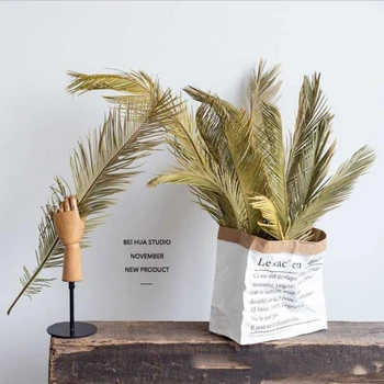 2 ADET Kurutulmuş Doğal Bitki Sago Cycas Şube, Fruticose Dracaena Yaprak Kuru Palmiye Fan Yaprakları, parti Sanat Duvar Asılı, düğün Dekorasyon